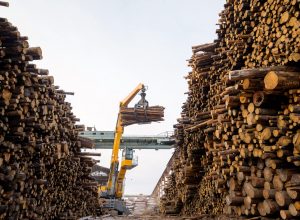 wood lift crane factory cut log storage tree