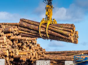 Close up on wood logs gripple at operation