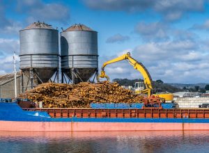 Crane with wood logs gripple loading timber on cargo ship