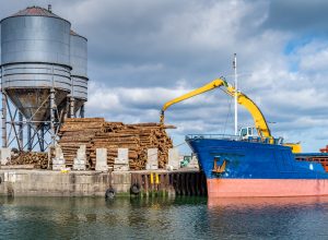 Crane with wood logs gripple loading timber on cargo ship