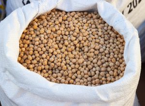 Sack of chickpeas at a local street market